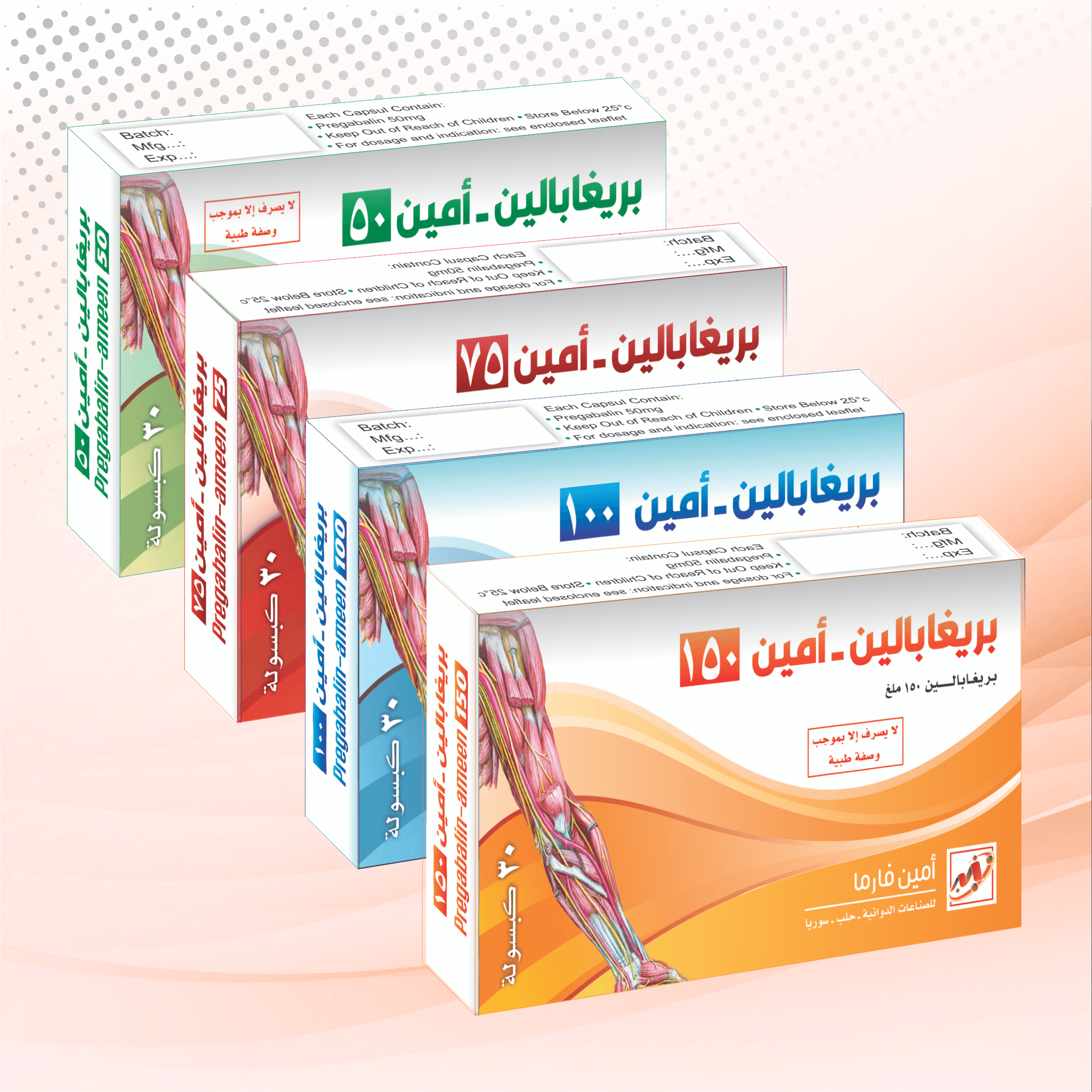 بريغابالين       أمين